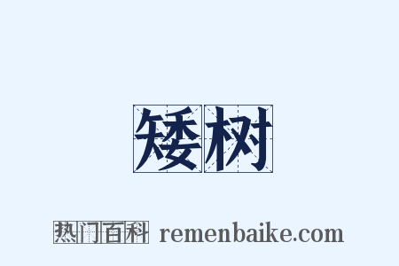矮树是什么意思的图片